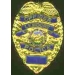 LEMOORE, CA POLICE DEPARTMENT OFFICER BADGE PIN
